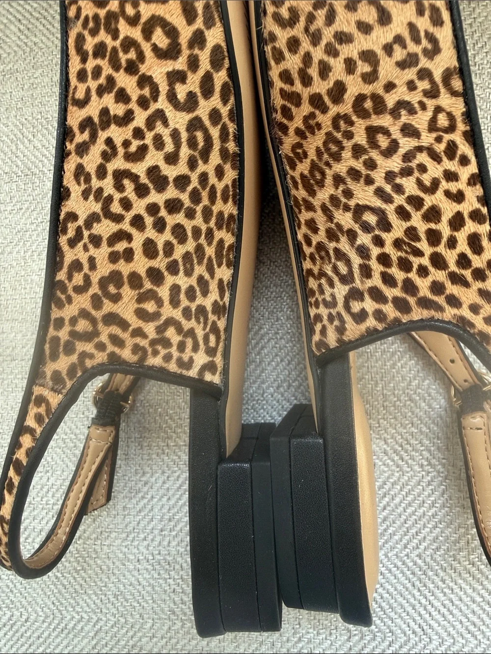 Talbots Leopard-Print Pointed Toe Slingback Flats in Tan and Black